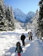 Un'immagine destinata a diventare sempre pi rara sulle Alpi (Ansa)