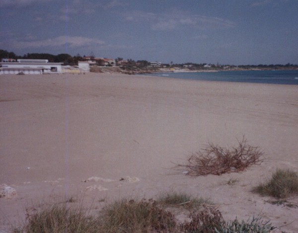 arenella.jpg (52961 byte)